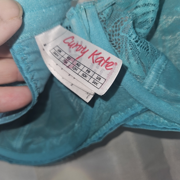 Elomi, Curvey Kate and More! In Red, Blue, Green, and Purple. (6) Size: 34K - Picture 10 of 16